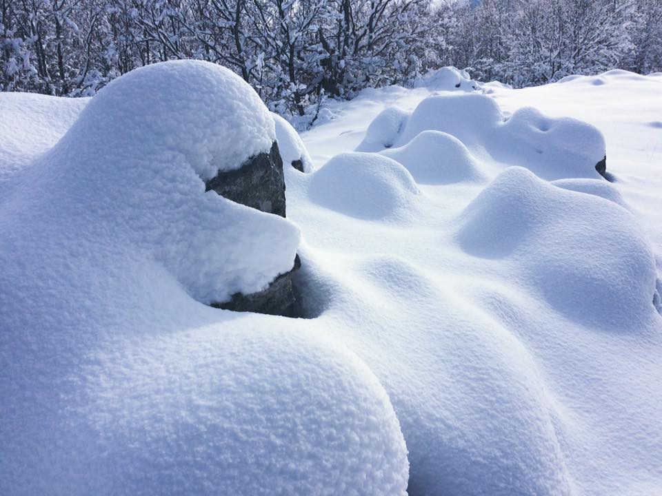 Neve sul Pollino